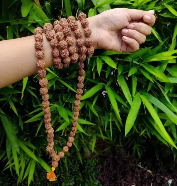 Rudraksha Mala